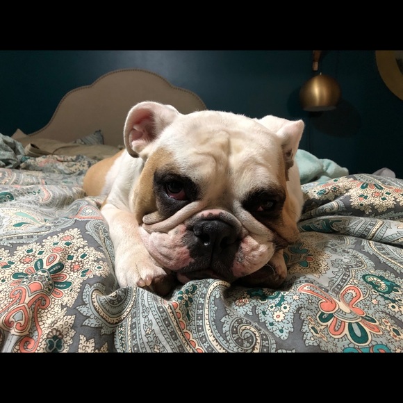 Meet your Posher, Laurie - Picture 1 of 1